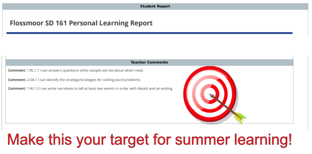 Summer learning target