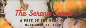 The Serena Scoop 11/23
