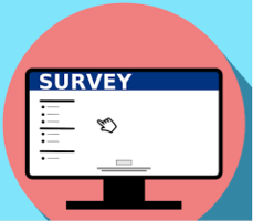 Beginning of the Year Survey