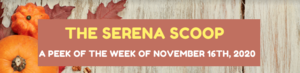 The Serena Scoop 11/16