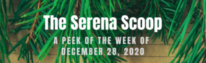 The Serena Scoop 12/28