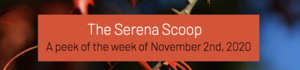 The Serena Scoop 11/2