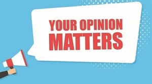 District 161 Parent Survey on Reopening - Translated